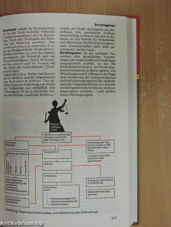 Schülerduden Politik und Gesellschaft