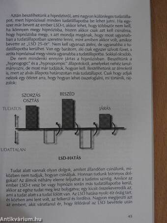 A Tudatállapotok Szivárványa/Beszélgetés Geréb Ágival/Levéltöredék Feldmárnak