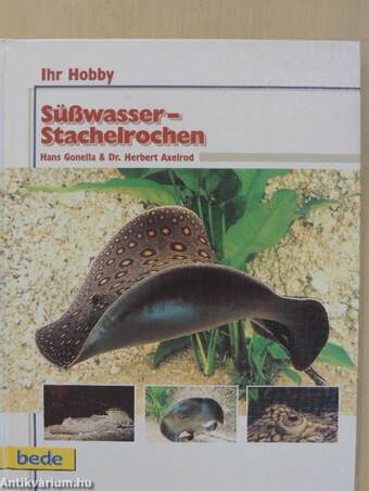 Süßwasser-Stachelrochen