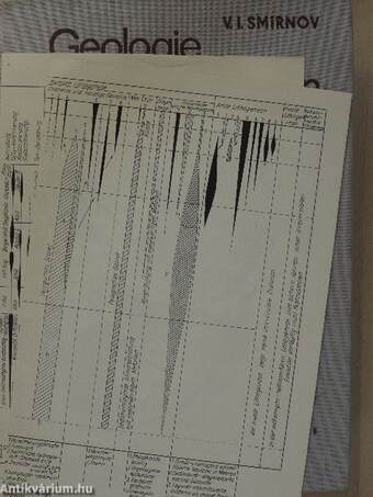 Geologie der Lagerstätten mineralischer Rohstoffe