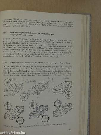 Geologie der Lagerstätten mineralischer Rohstoffe