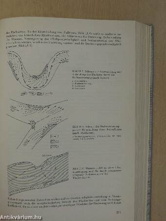 Geologie der Lagerstätten mineralischer Rohstoffe