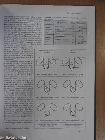 Craniospinalis instabilitás