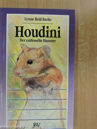 Houdini