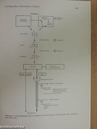 Grundzüge der Arzneimitteltherapie rheumatischer Erkrankungen