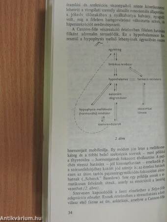 Pszichoszomatikus zavarok gyermek- és ifjúkorban