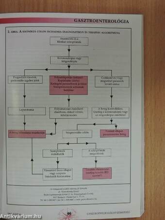 Gasztroenterológiai Útmutató 2007