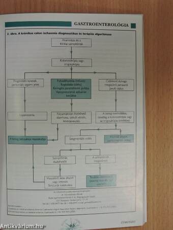 Gasztroenterológiai Útmutató 2003