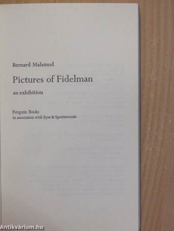 Pictures of Fidelman