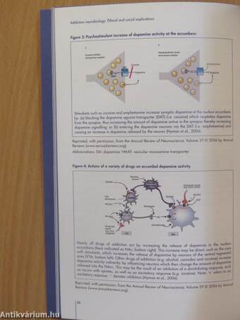 EMCDDA Monographs