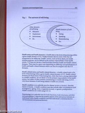 ICF - International Classification of Functioning, Disability and Health