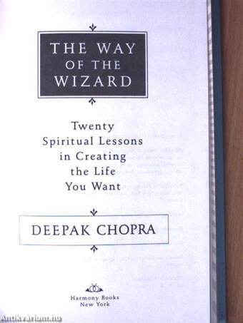 The Way of the Wizard