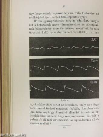 Népszerű természettudományi előadások gyüjteménye III/16-25.