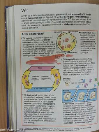 Képes Usborne enciklopédia