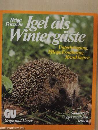 Igel als Wintergäste