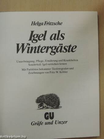 Igel als Wintergäste