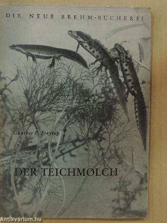 Der Teichmolch