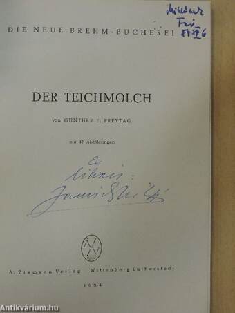 Der Teichmolch