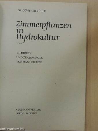 Zimmerpflanzen in Hydrokultur