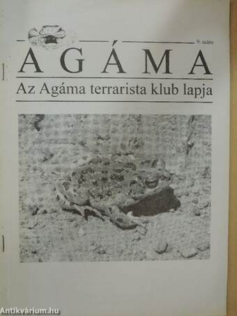 Agáma 9.