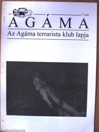 Agáma 7.