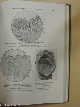 Morphologische Pathologie