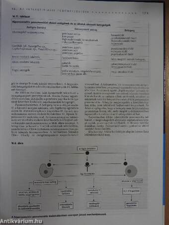 Pulmonológiai betegségek