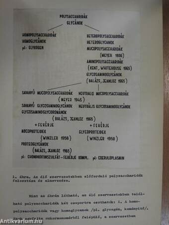 A heveny gyulladásos folyamatokat kísérő szérum glycoproteidszint-emelkedés - acut phasis reakció - kísérletes vizsgálata