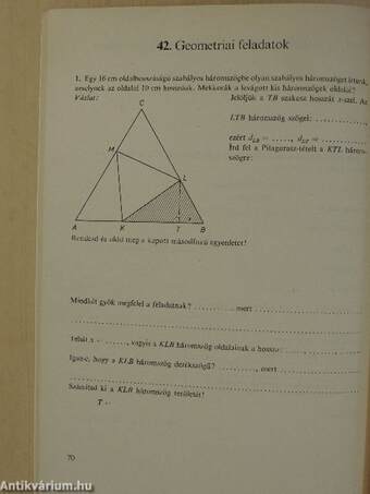 Matematika feladatlapok II.