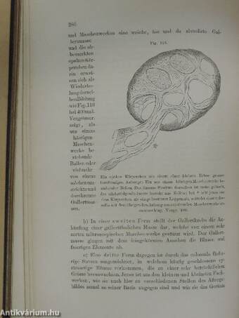 Lehrbuch der pathologischen Anatomie I-III.