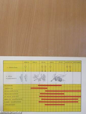 A házikerti gyümölcsösök és szőlő növényvédelme
