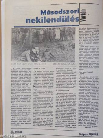 Képes Ifjúság 1981. október 7.