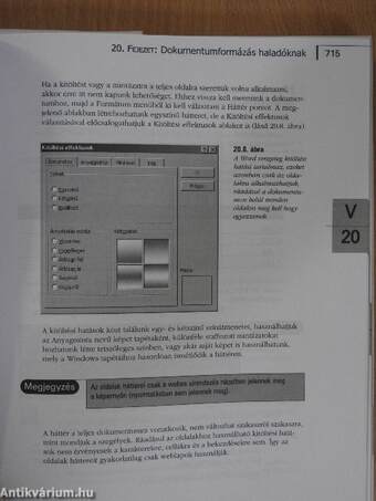 Microsoft Office 2000 II.