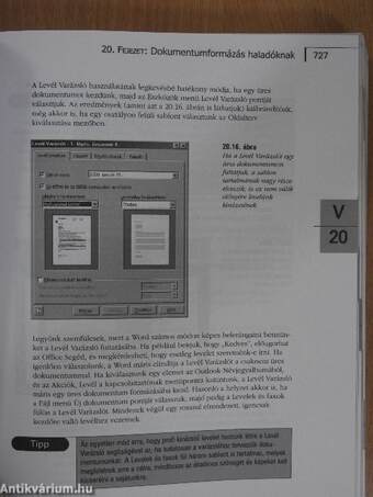 Microsoft Office 2000 II.