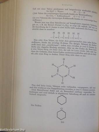 Kleine Weltgeschichte der Wissenschaft