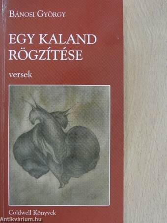 Egy kaland rögzítése