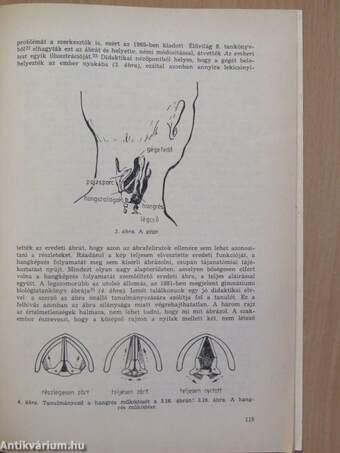 A biológia tanítása 1986. (nem teljes évfolyam)