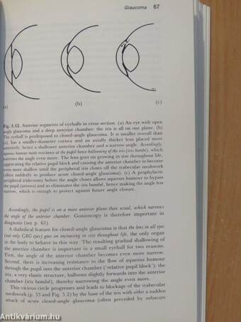 Ophthalmology