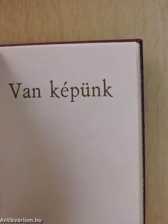 Van képünk (minikönyv) - Plakettel