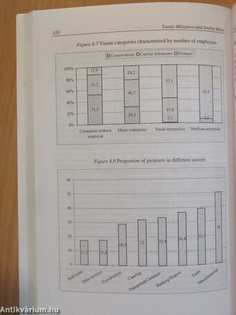 Knowledge Transfer, Small and Medium-Sized Enterprises, and Regional Development in Hungary