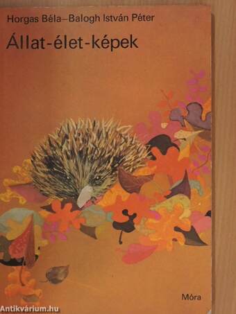 Állat-élet-képek