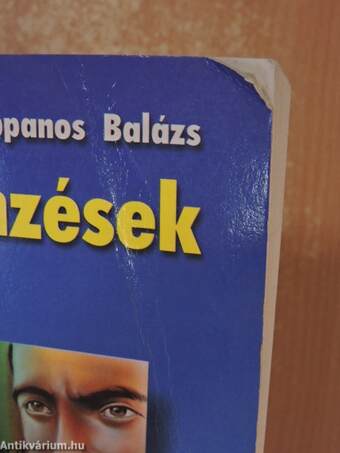 Verselemzések