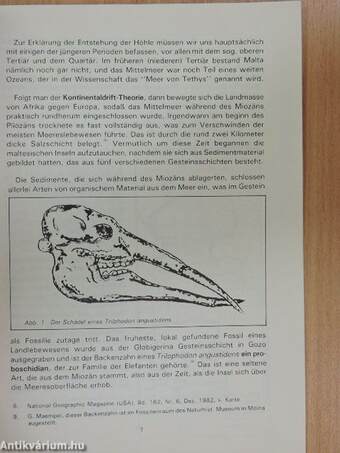 Die prähistorische Höhle Ghar Dalam