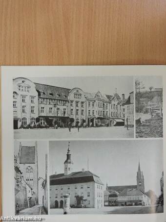 Neubrandenburg in Wort und Bild