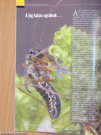 National Geographic Magyarország 2005. március