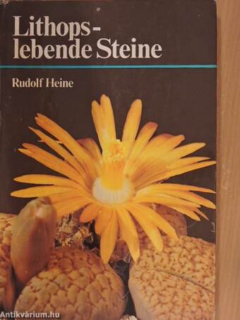 Lithops- lebende Steine