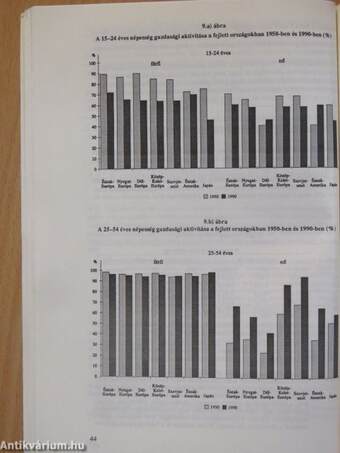 A munkaerő-kínálat gazdaságtana