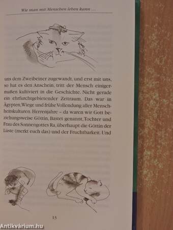 Die Katze und ihr Mensch