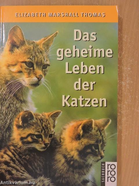 Das geheime Leben der Katzen