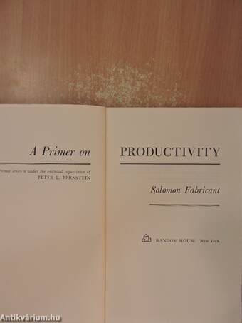 A Primer on Productivity